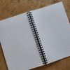 Carnet illustré "la moue"