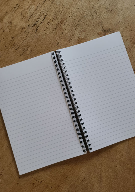 Carnet illustré "la moue"